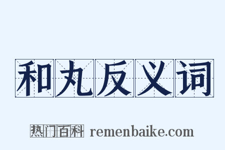 和丸反义词是什么意思的图片